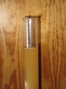 Stammwürze Messen Bierspindel